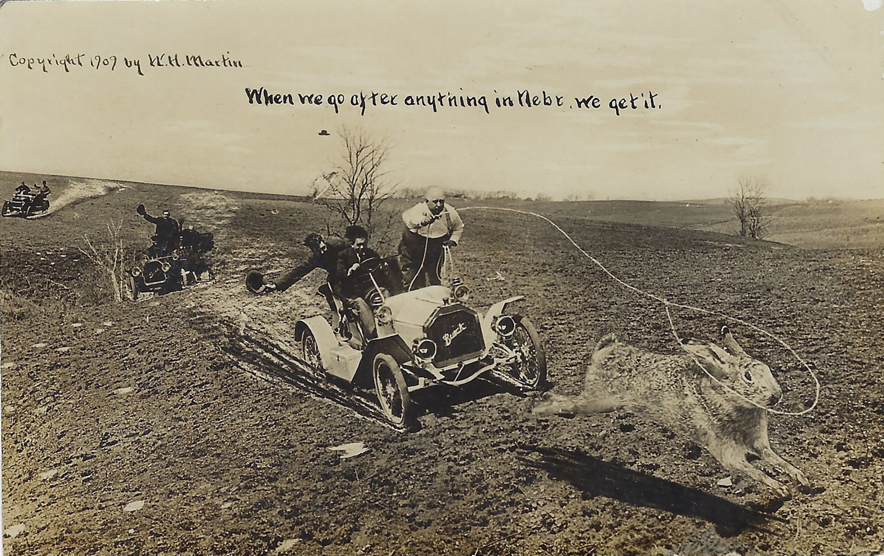 Exaggeration Postcard